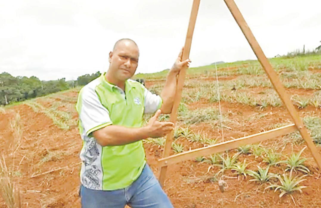 The Fiji Times » Impact of soil erosion - Fiji Times