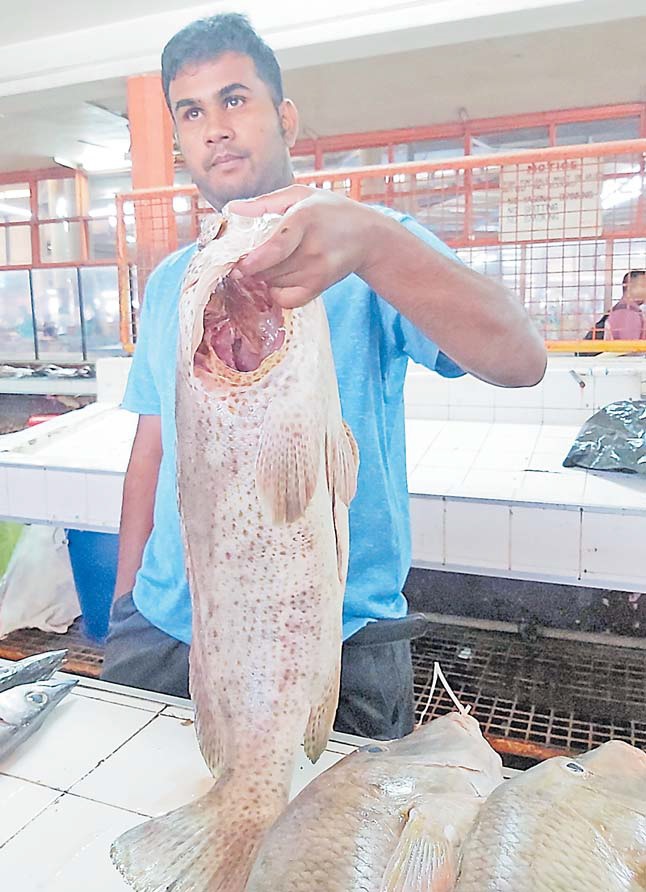 The Fiji Times » Death by slow strangulation – Looming inshore fishing 'crisis' - Vimarsana News