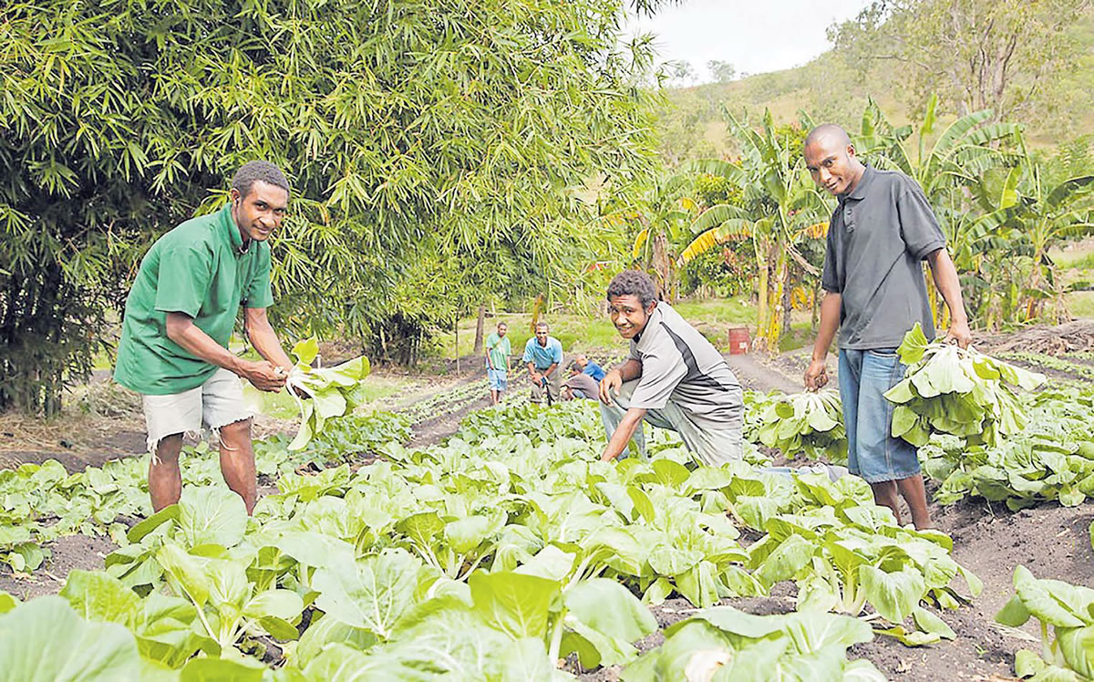 The Fiji Times » The hungry country - Vimarsana News