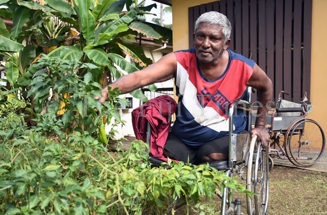 The Fiji Times » Double amputee's home garden sustains family - Vimarsana News