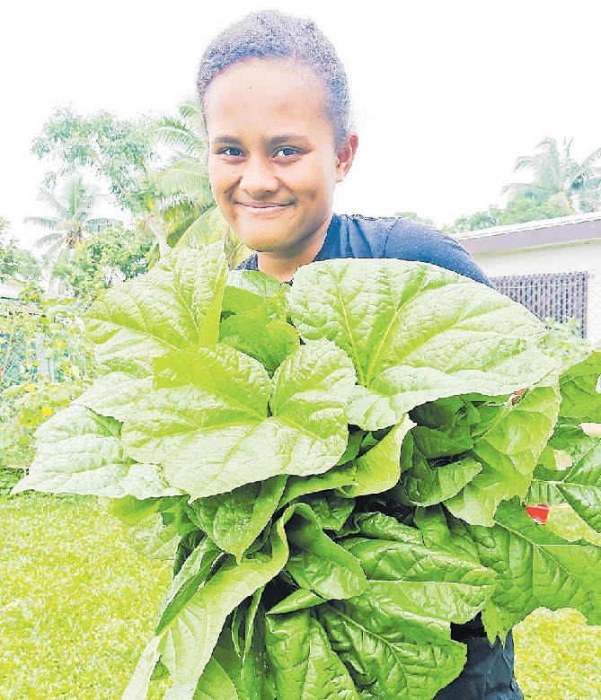 The Fiji Times Keep A Healthy Diet the-fiji-times-keep-a-healthy-diet
