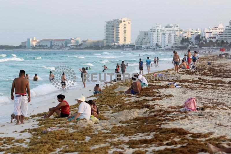 The Fiji Times » Stinky seaweed threatens Mexico’s postpandemic tourism boom
